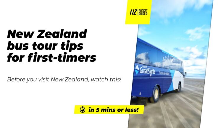how to use buses in new zealand